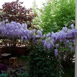 Apartment Elbe Garden Paradise